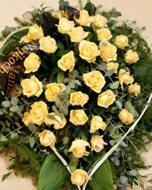 53_wience