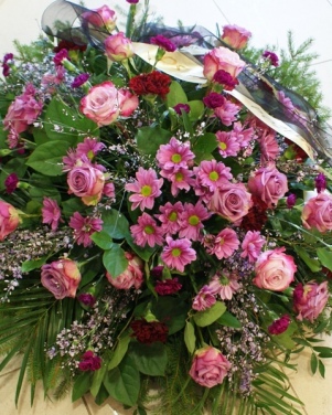 53_wience