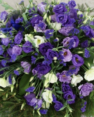 53_wience