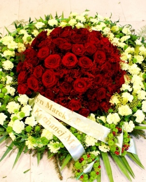 53_wience