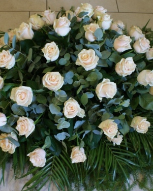 53_wience