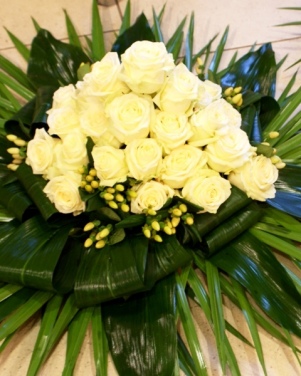 53_wience