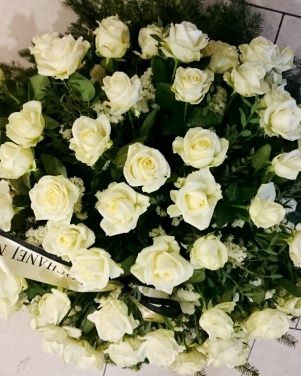 53_wience