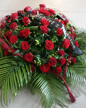 53_wience
