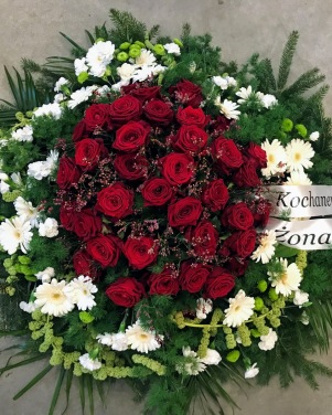 53_wience
