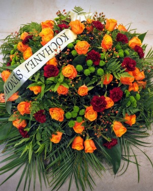 53_wience