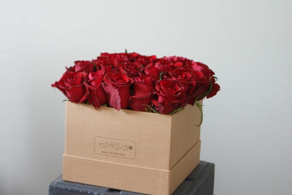 flower box zielona fabryka gniezno