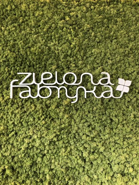 chrobotek zielona fabryka